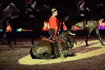 Cavalry - 00346